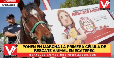 Ponen en marcha la primera Célula de Rescate Animal en Ecatepec