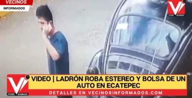 VIDEO | Ladrón roba estereo y bolsa de un auto en Ecatepec