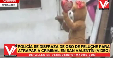 Policía se disfraza de oso de peluche para atrapar a criminal en San Valentín (Video)