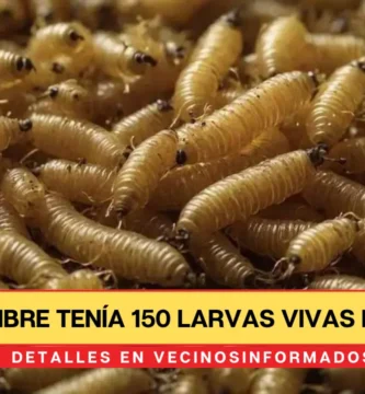Hombre tenía 150 larvas vivas en la nariz