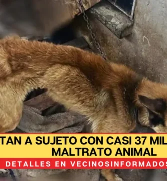 Multan a sujeto con casi 37 mil pesos por maltrato animal