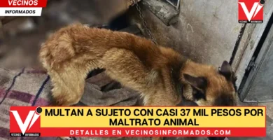 Multan a sujeto con casi 37 mil pesos por maltrato animal