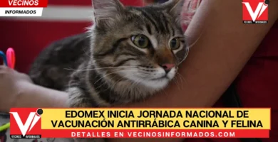Inicia Jornada Nacional de Vacunación Antirrábica Canina y Felina 2024 en el Estado de México