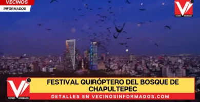 Festival Quiróptero del Bosque de Chapultepec: Ofrecerá más de 100 actividades gratuitas
