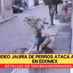 #VIDEO Jauría de perros ataca a jovenes en Metepec