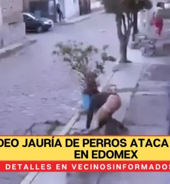#VIDEO Jauría de perros ataca a jovenes en Metepec