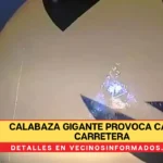 Calabaza gigante provoca caos en carretera en Ohio