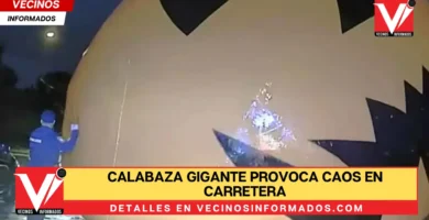 Calabaza gigante provoca caos en carretera en Ohio