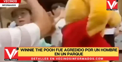 Winnie The Pooh fue agredido por un hombre en un parque