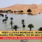 VIDEO Lluvias inundan el desierto del Sahara por primera vez en más de 50 años