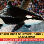 VIDEO Una orca de hizo del baño y salpicó a la multitud con toda esa agua sucia en SeaWorld