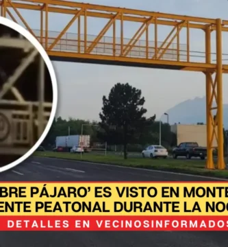 ‘Hombre pájaro’ es visto en Monterrey sobre puente peatonal durante la noche | VIDEO