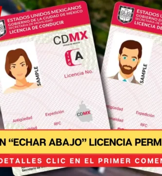 Buscan “echar abajo” licencia permanente