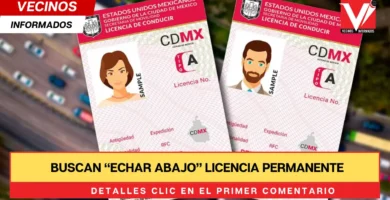 Buscan “echar abajo” licencia permanente