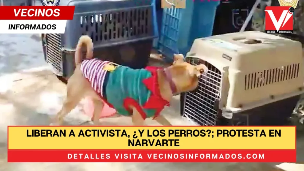 Liberan a activista, ¿y los perros?; protesta en Narvarte