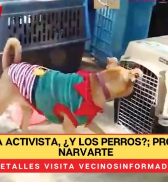 Liberan a activista, ¿y los perros?; protesta en Narvarte