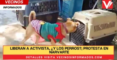 Liberan a activista, ¿y los perros?; protesta en Narvarte