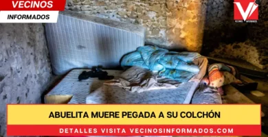 Abuelita muere pegada a su colchón entre heces, cucarachas y chinches