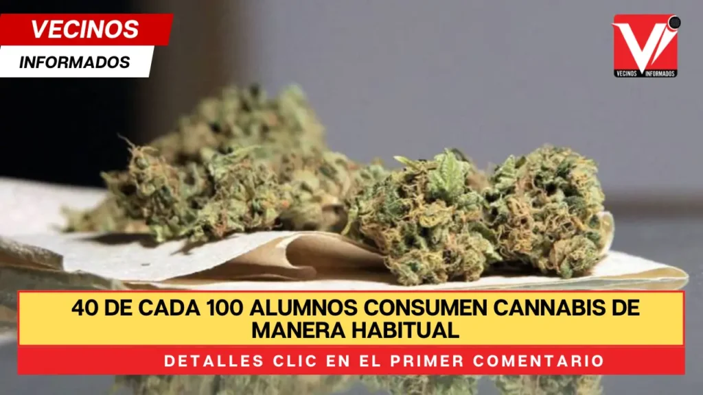 40 de cada 100 alumnos consumen cannabis de manera habitual