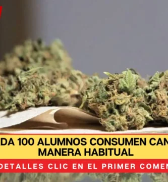 40 de cada 100 alumnos consumen cannabis de manera habitual