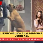 Lomito callejero saluda a las personas que pasan junto a él