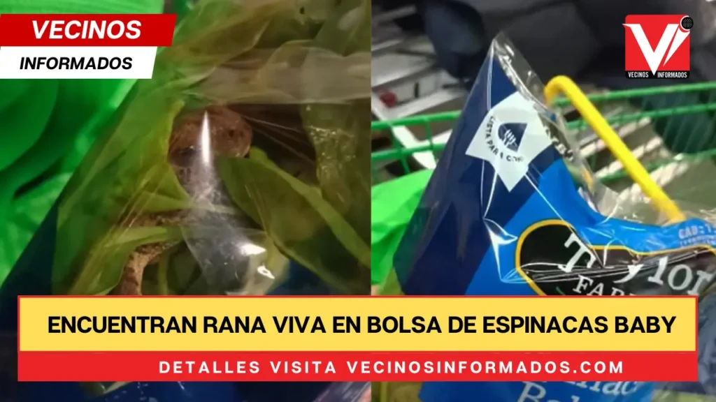 Encuentran rana viva en bolsa de espinacas baby