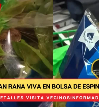 Encuentran rana viva en bolsa de espinacas baby