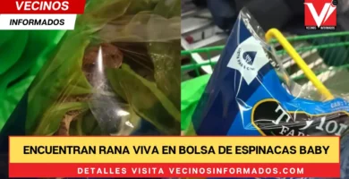 Encuentran rana viva en bolsa de espinacas baby