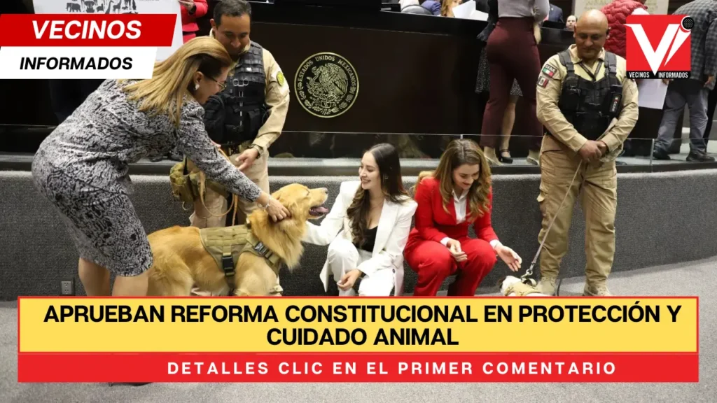 Aprueban reforma constitucional en protección y cuidado animal