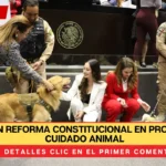 Aprueban reforma constitucional en protección y cuidado animal