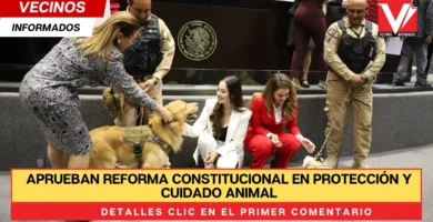 Aprueban reforma constitucional en protección y cuidado animal