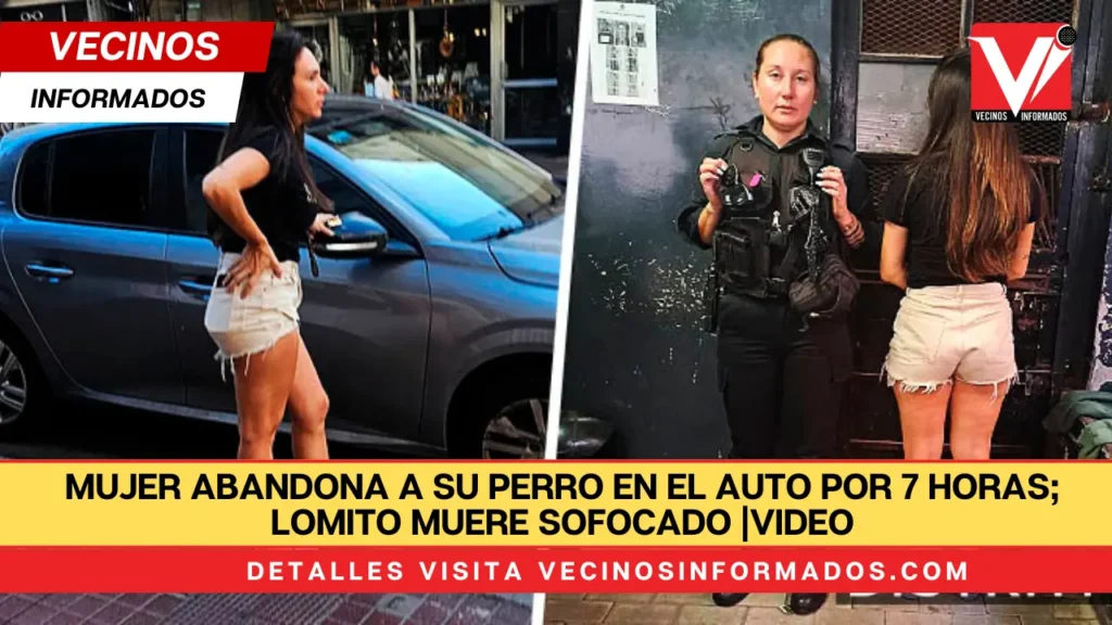 Mujer abandona a su perro en el auto por 7 horas; lomito muere sofocado |VIDEO