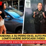 Mujer abandona a su perro en el auto por 7 horas; lomito muere sofocado |VIDEO