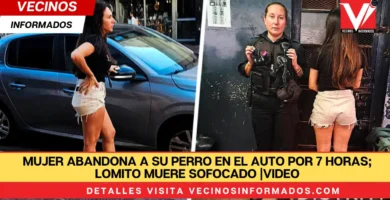 Mujer abandona a su perro en el auto por 7 horas; lomito muere sofocado |VIDEO