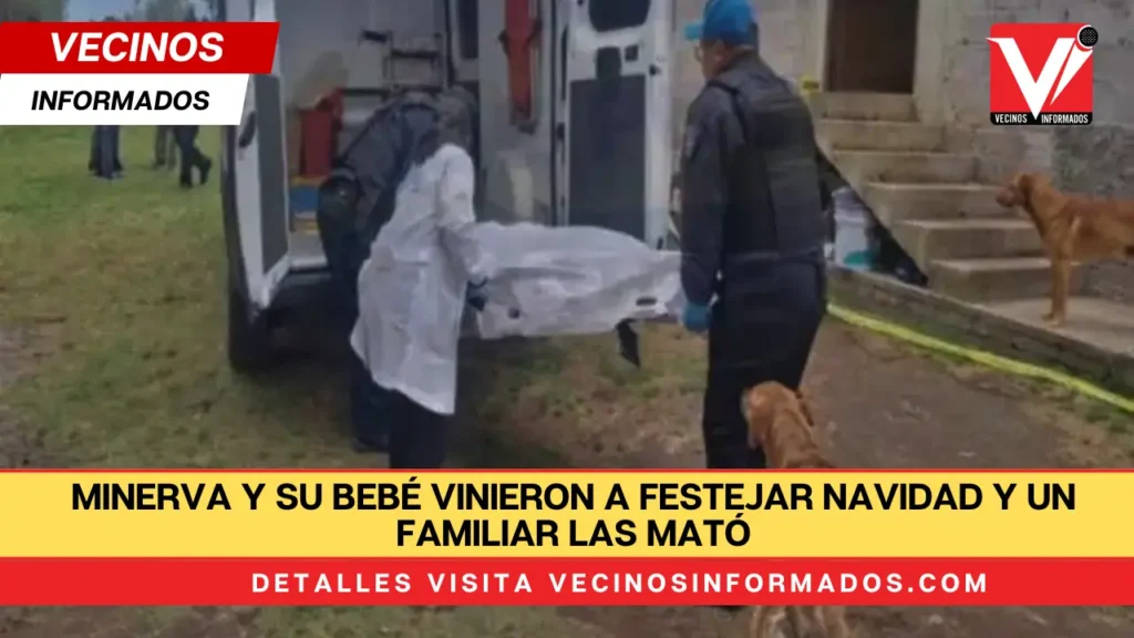 URGENTE: Minerva y su bebé vinieron a festejar Navidad y un familiar las mató