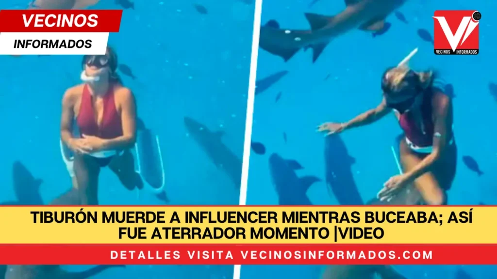 Tiburón muerde a influencer mientras buceaba; así fue aterrador momento |VIDEO