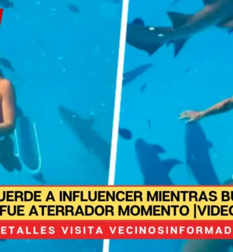 Tiburón muerde a influencer mientras buceaba; así fue aterrador momento |VIDEO