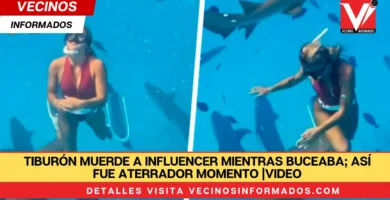 Tiburón muerde a influencer mientras buceaba; así fue aterrador momento |VIDEO