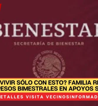 ¿Se podría vivir sólo con esto? Familia recibiría casi 40 mil pesos bimestrales en apoyos sociales