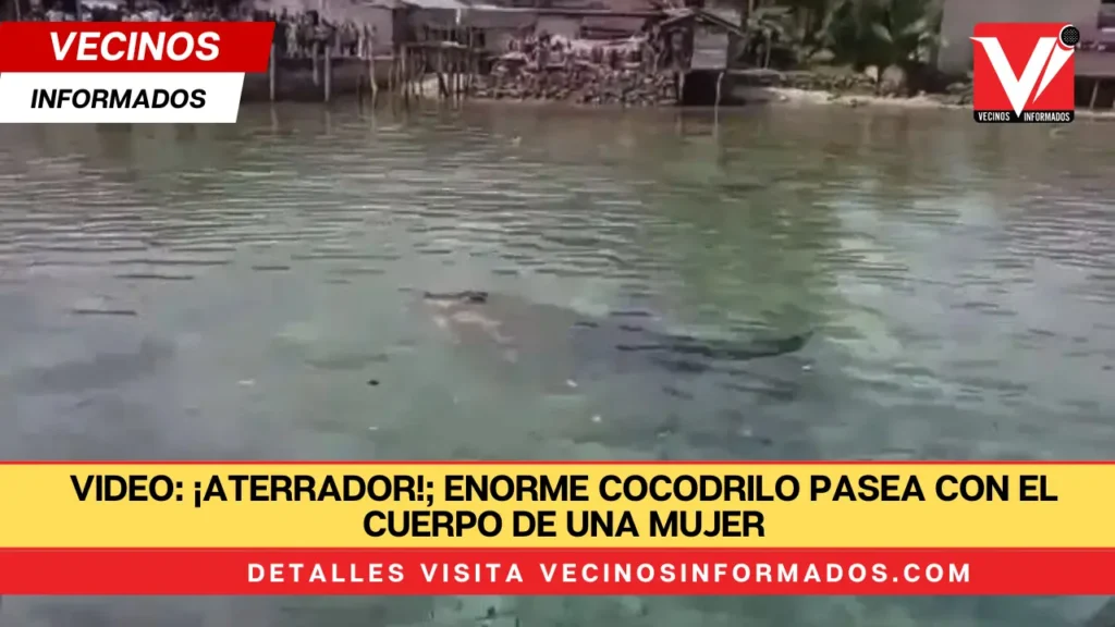 VIDEO: ¡Aterrador!; enorme cocodrilo pasea con el cuerpo de una mujer