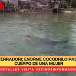 VIDEO: ¡Aterrador!; enorme cocodrilo pasea con el cuerpo de una mujer