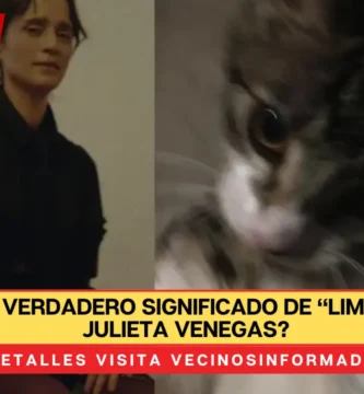 ¿Cuál es el verdadero significado de “Limón y Sal” de Julieta Venegas?