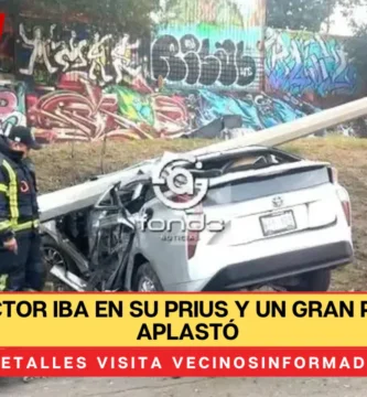 Conductor iba en su Prius y un gran poste lo aplastó