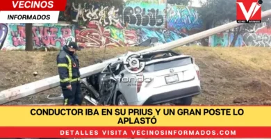 Conductor iba en su Prius y un gran poste lo aplastó