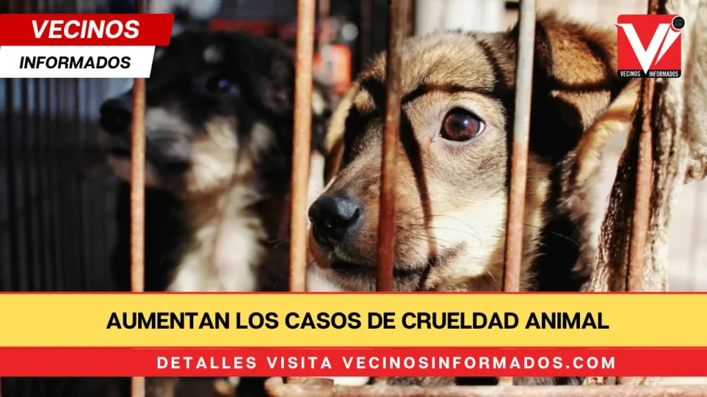 Aumentan los casos de crueldad animal