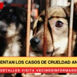 Aumentan los casos de crueldad animal