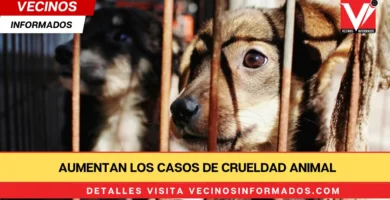 Aumentan los casos de crueldad animal