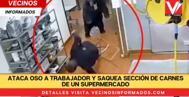 Ataca oso a trabajador y saquea sección de carnes de un supermercado