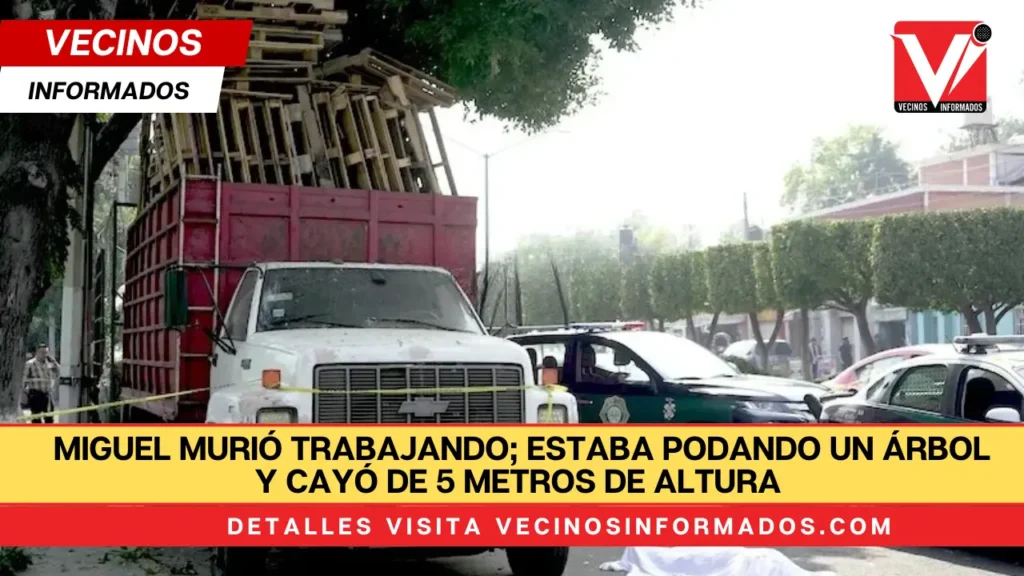 Miguel murió trabajando; estaba podando un árbol y cayó de 5 metros de altura