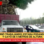 Miguel murió trabajando; estaba podando un árbol y cayó de 5 metros de altura